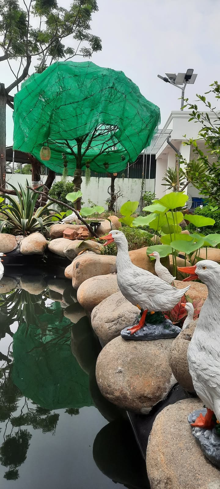 Đất nền góc 2 mặt tiền Kim Long - 180m² giá 845 triệu - Cơ hội đầu tư tuyệt vời!