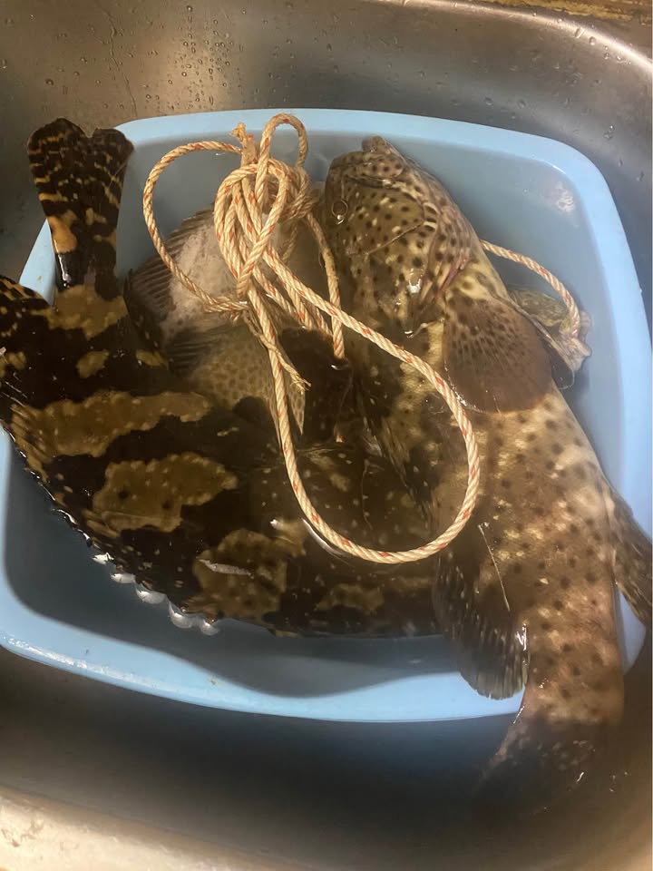 Nhà cho thuê đường Bùi Thị Xuân 75m² giá 7 triệu - Không thể bỏ lỡ!