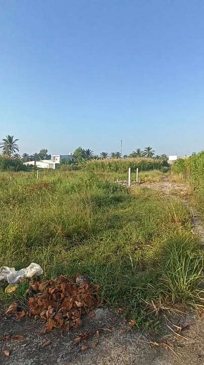 Bán đất nền phường Trung An, Tiền Giang 99m² chỉ 970 triệu - Đầu tư sinh lời ngay!