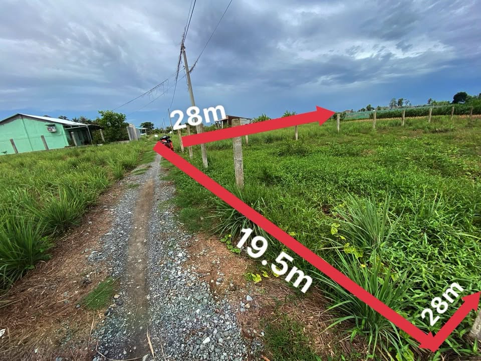 Đất vườn 500m² tại ấp Giồng Keo, giá chỉ 250 triệu - Cơ hội đầu tư tốt!