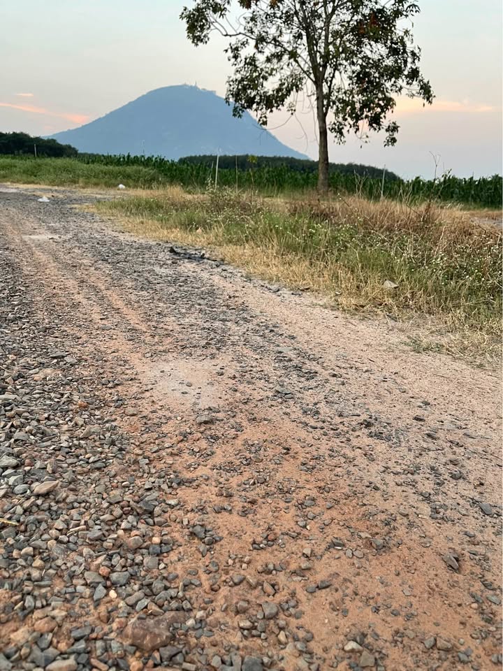 Đất Ninh Thạnh - Tây Ninh 140m² giá 335 triệu - Sổ hồng chính chủ