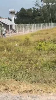 Đất Thạnh Đức Gò Dầu 4400m² giá 5.5 tỷ - Đối diện KCN Thạnh Đức!