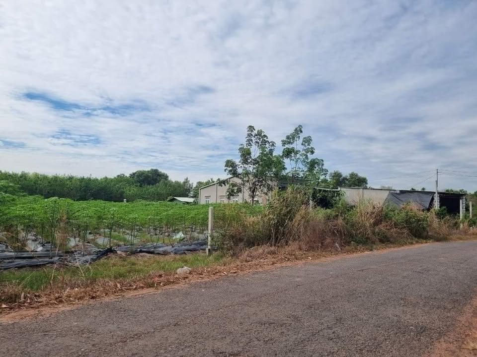 Đất thổ cư 235m² Phước Thạnh, Gò Dầu - Giá chỉ 600 triệu, thuận lợi kinh doanh!