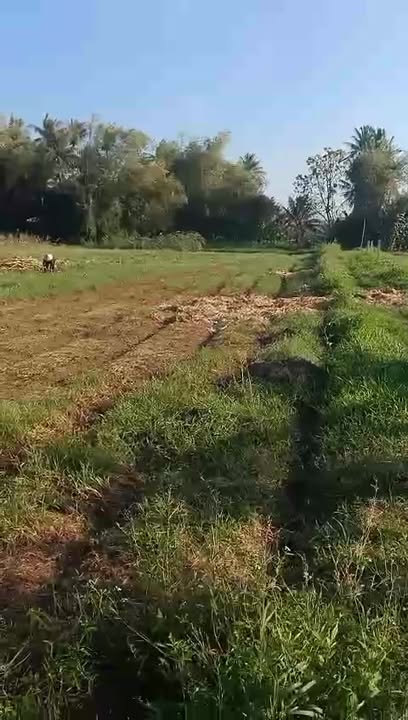 Đất trồng cây hàng năm tại Hoài Phú 400m² - Bán gấp giá thỏa thuận!