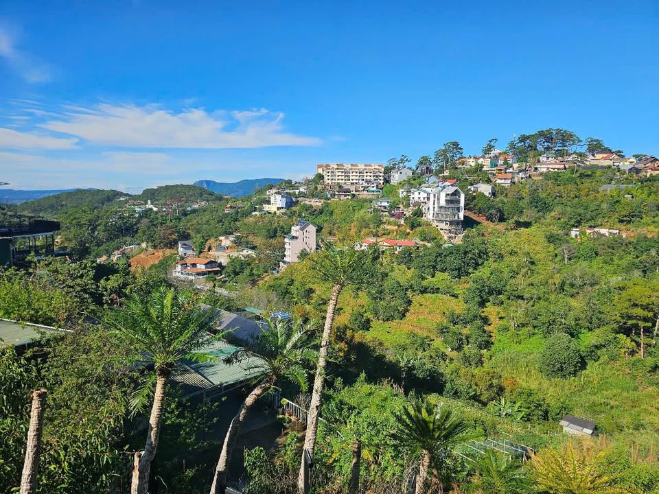 Đất mặt tiền Hoàng Hoa Thám Đà Lạt 2600m² giá 35 tỷ - View thung lũng tuyệt đẹp!