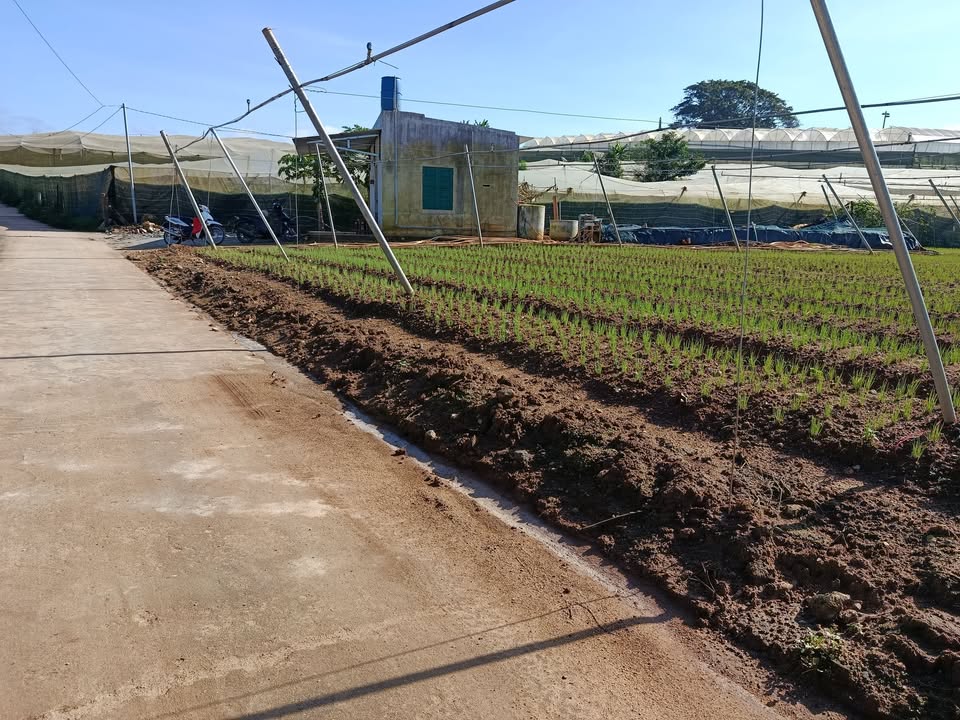 Đất nền 5 sào tại Ka Đô, Đơn Dương, Lâm Đồng - Giá chỉ 4.9 tỷ, sổ hồng chính chủ!