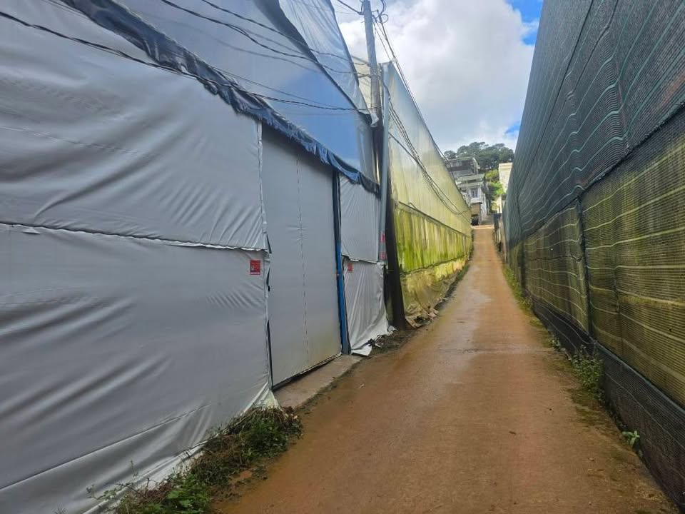 Đất nông nghiệp 500m² tại Đà Phú, Đà Lạt - Phù hợp đầu tư sinh lời