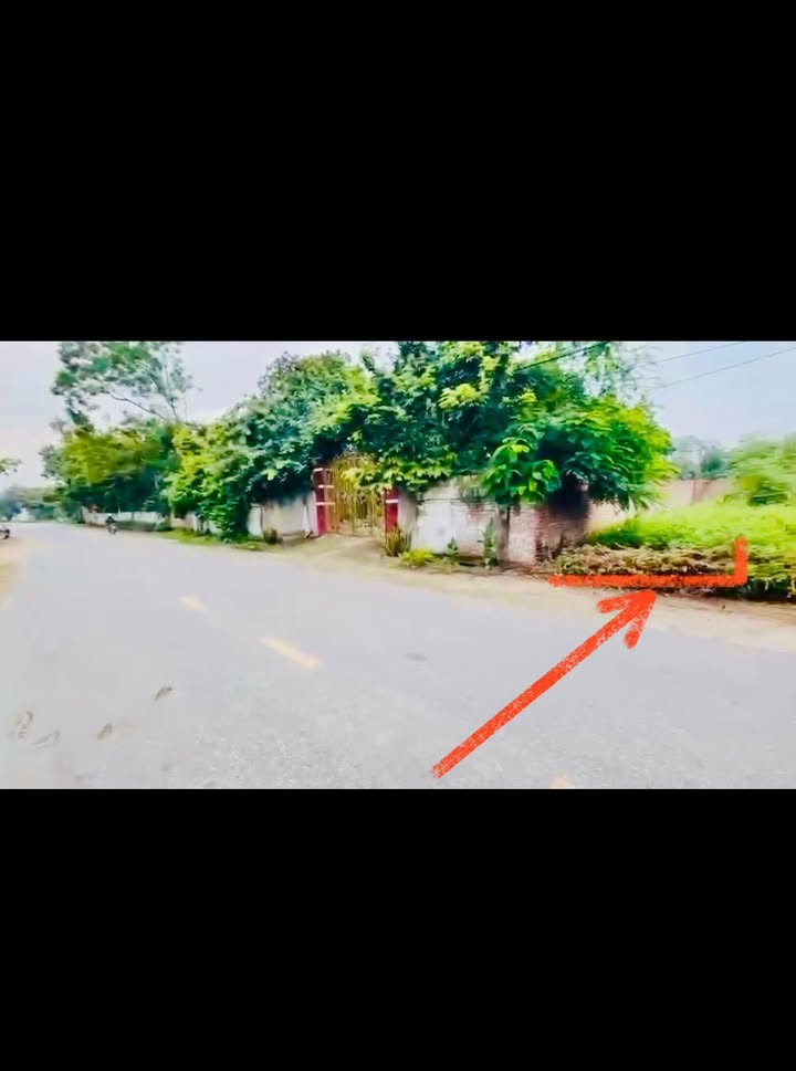 Đất nền mặt đường TL309C, xã Hoàng Hoa, 150m² chỉ 1,5 tỷ - Cơ hội đầu tư tuyệt vời!