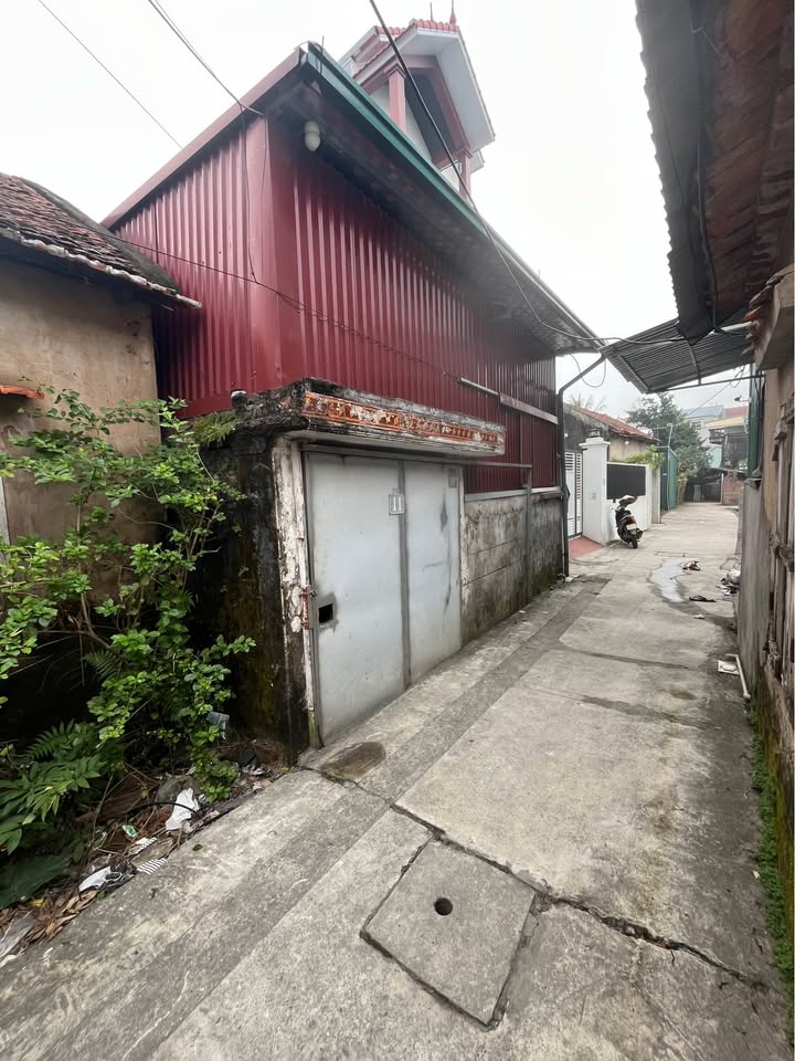 Đất nền 129m² tại Xóm Lục Thượng, Thanh Cao - Giá chỉ từ 40 triệu/m²