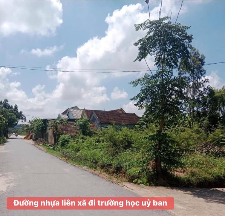 Đất nền Xóm 2 Làng Bông, xã Thuần Trung 181m² giá 1 tỷ - Cơ hội đầu tư tuyệt vời!