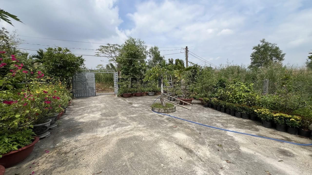 Đất nền Hiệp Phước 745m² giá 3.5 tỷ - Cơ hội vàng cho nhà đầu tư!