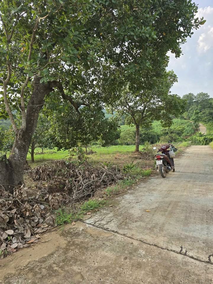 Đất nền Đồng Tâm, Đồng Phú 240m² giá 3.5 tỷ - Mặt tiền đường bê tông rộng rãi!