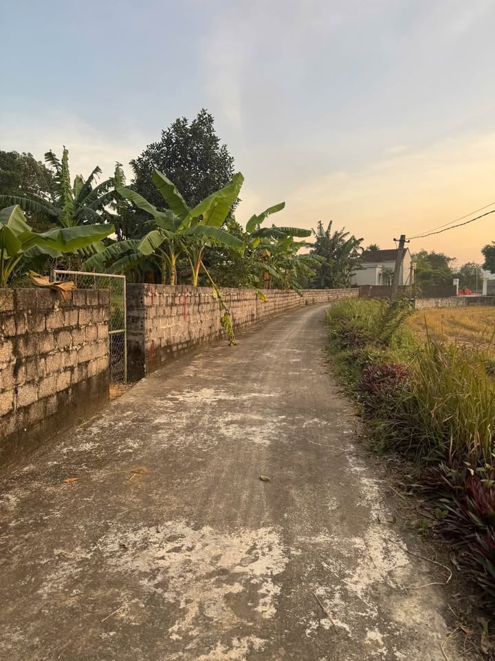 Đất nền Yên Sơn, Tam Điệp 300m² giá chỉ 800 triệu - Cơ hội đầu tư tuyệt vời!