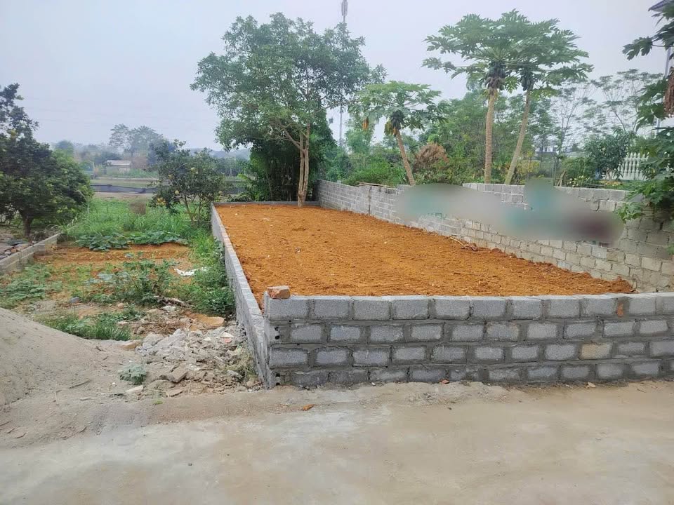 Đất nền Đông Yên 99m² giá 3 tỷ - Đầu tư sinh lời, chính chủ bán gấp!