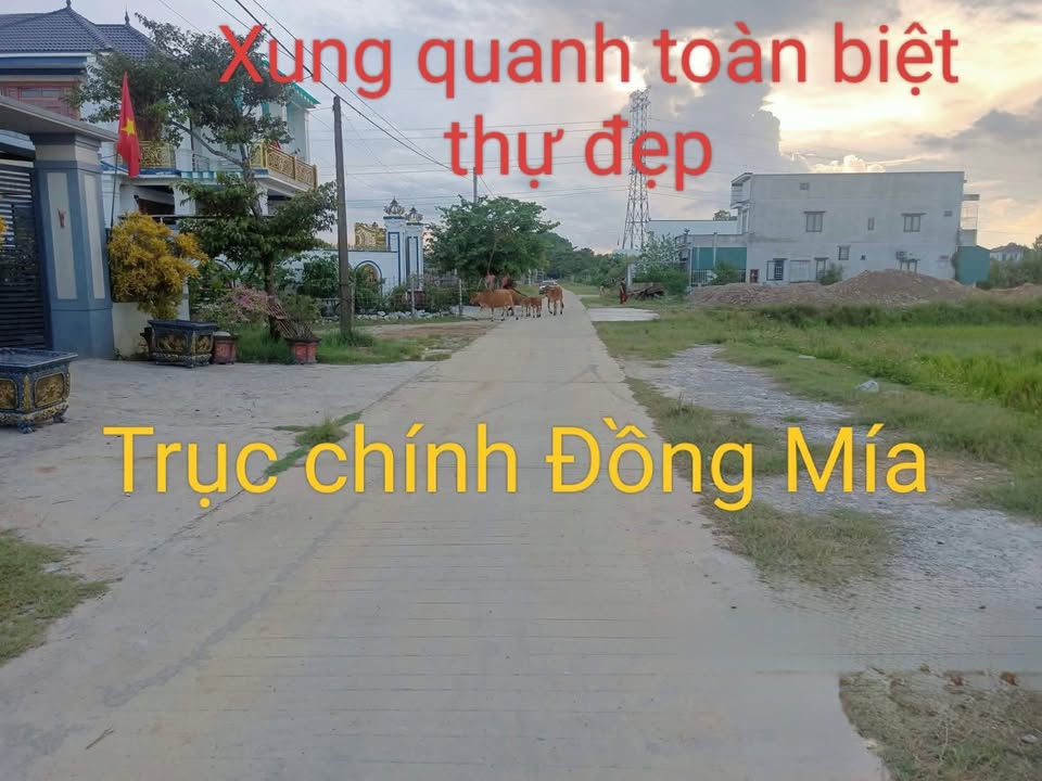 Đất nền Phường Ba Đồn 225m² giá 1.35 tỷ - Cần bán gấp để đi nước ngoài!