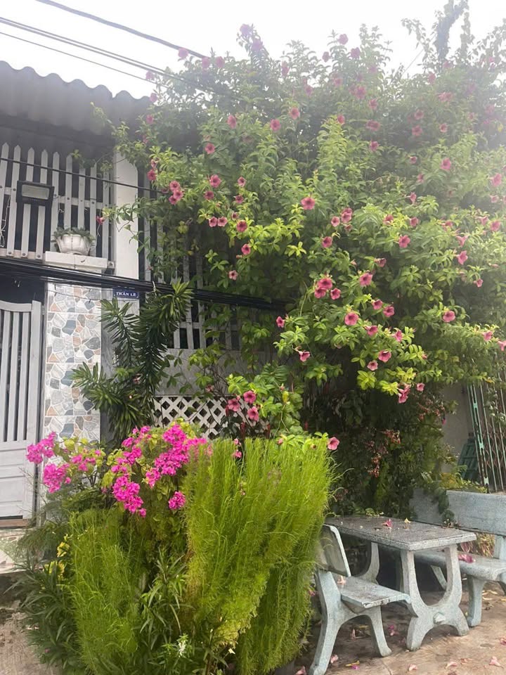 Đất nền Trần Lê Phan Thiết 500m² giá 10.5 tỷ - Cơ hội vàng sát biển!