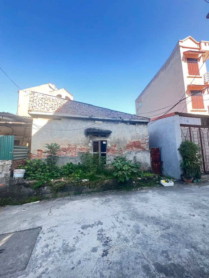 Đất liền kề ngõ 7 Bá Liễu, Tân Hưng, 42m² chỉ 1.2 tỷ - Cơ hội đầu tư tuyệt vời!