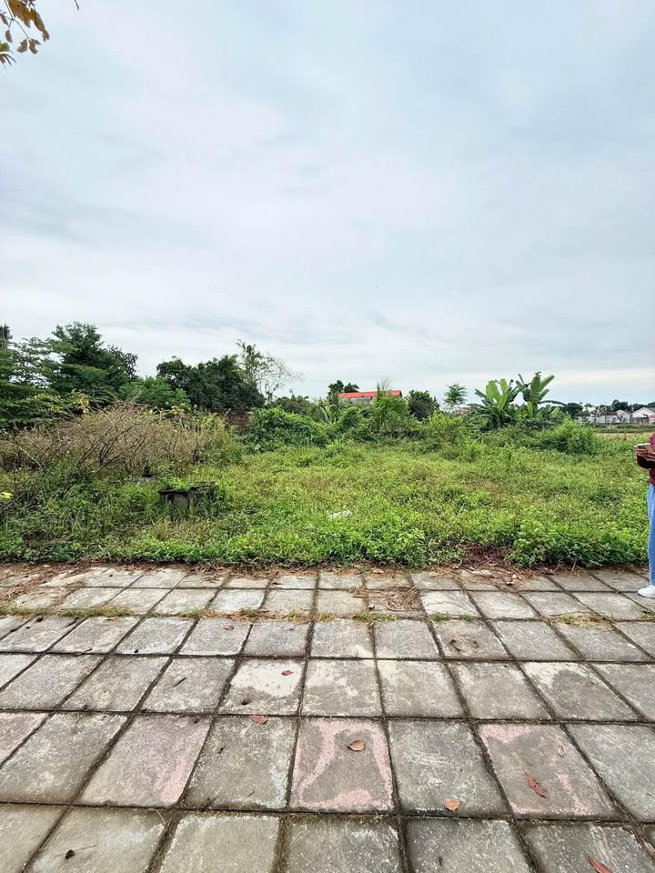 Đất nền Xuân Phương Complex 81m² giá chỉ 1.2 tỷ - Cơ hội đầu tư hấp dẫn!