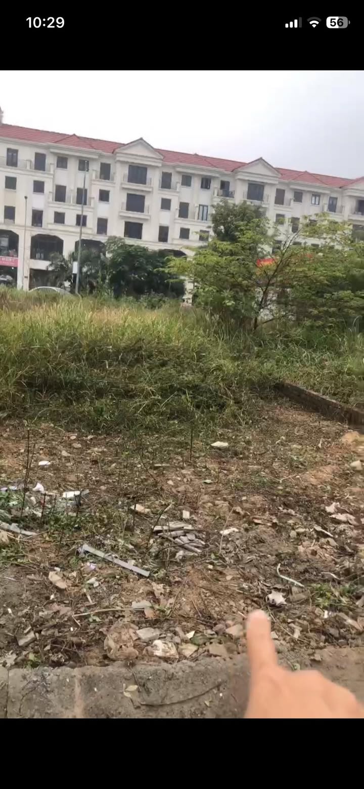 Đất dịch vụ Thăng Long 9 Kim Chung 56m² - Tiềm năng tăng giá mạnh!