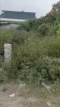 Đất nền An Dương Hải Phòng 76m² giá 1.9 tỷ - Cơ hội đầu tư hiếm có!