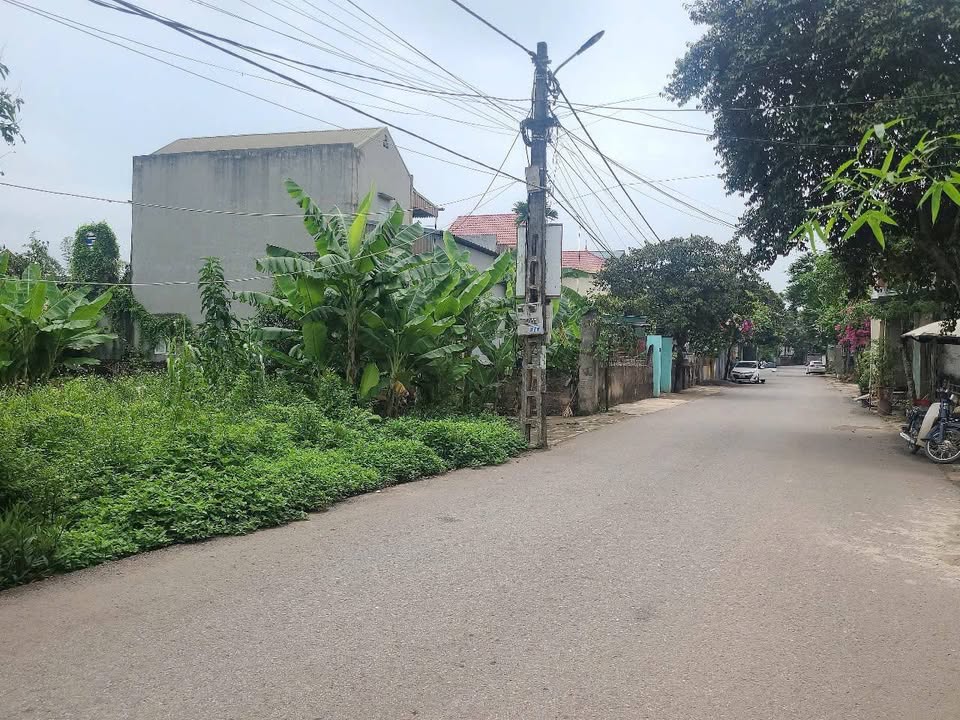 Đất nền Bà Triệu, Triệu Sơn 390,8m² giá 2,2 tỷ - Vị trí kinh doanh đắc địa!