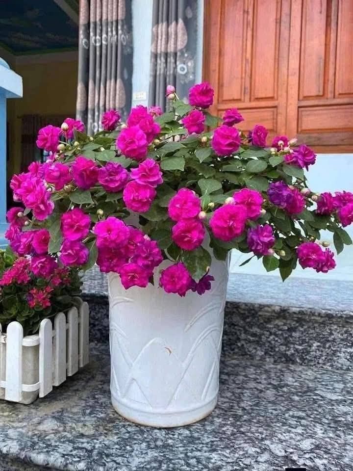 Đất nền Gia Viễn Cát Tiên 1092m² giá chỉ 1.05 tỷ - Cơ hội vàng cho đầu tư!