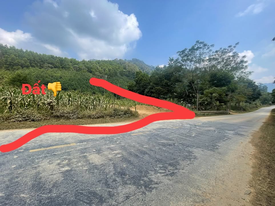 Lô đất Farm 2043m² tại Bạch Thông, Bắc Kạn - Cơ hội đầu tư hấp dẫn!