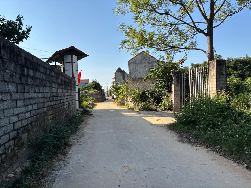 Đất nền Cẩm Lý Lục Nam 180m² giá chỉ 300 triệu - Đường thông thoáng, đầu tư sinh lời!