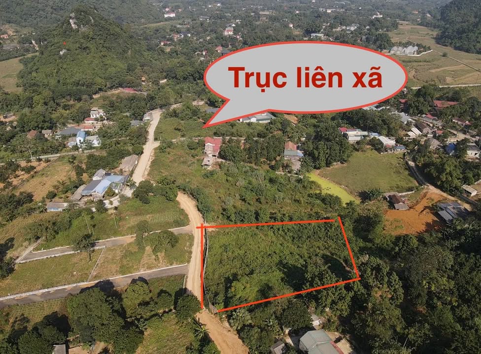 Đất nền Liên Sơn, Lương Sơn 2952m² giá chỉ 6.054 tỷ - Cơ hội đầu tư hấp dẫn!