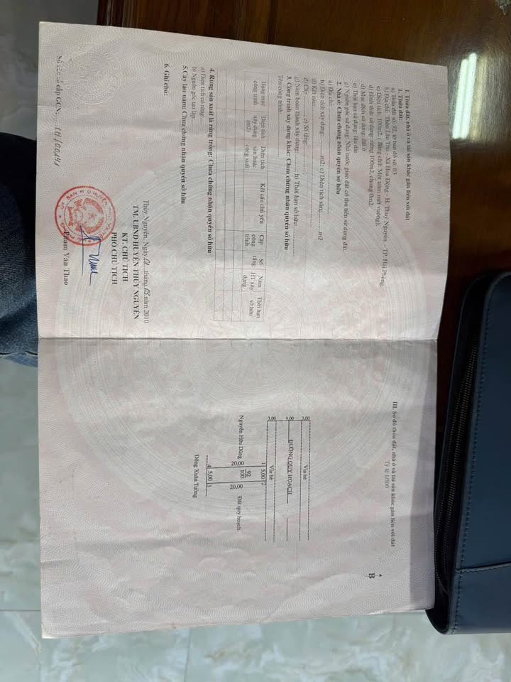 Đất nền Hoa Động, Thủy Nguyên 100m² giá 3.9 tỷ - Cơ hội đầu tư sinh lời