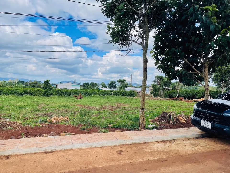 Đất nền Tân Hội, Đức Trọng, Lâm Đồng 210m² giá 650 triệu - Sổ đỏ chính chủ!