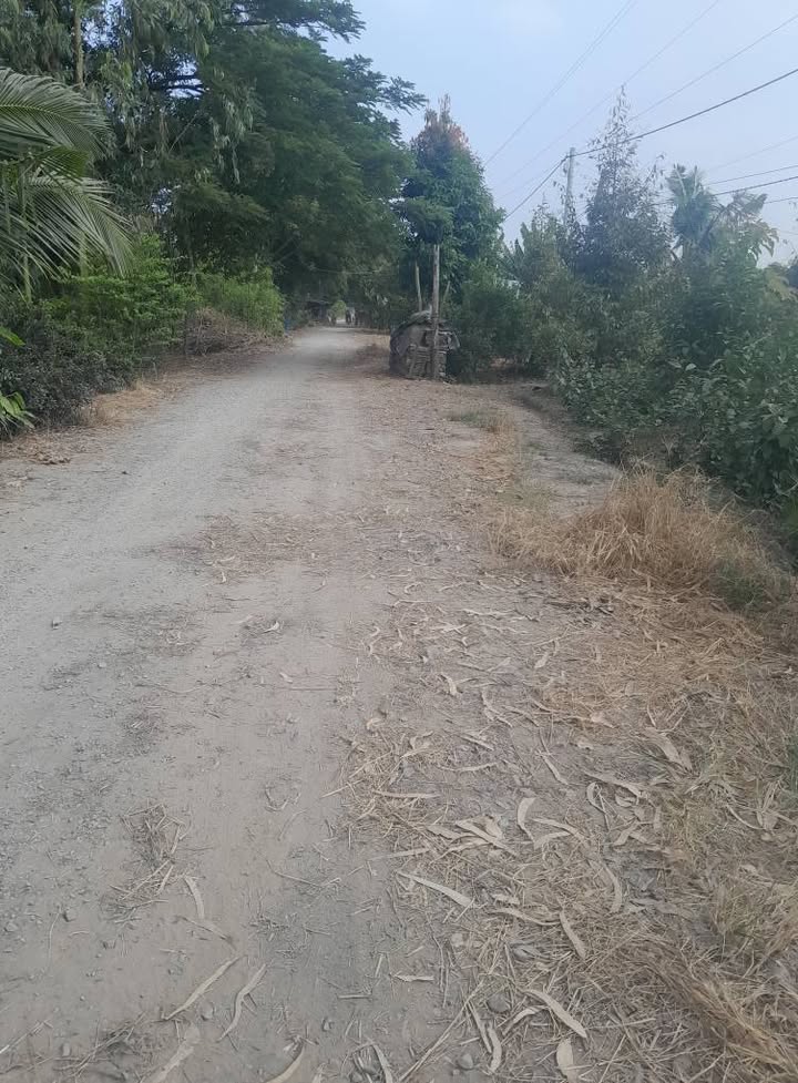 Đất nền Tây Phú, Thoại Sơn 6000m² - Cách lộ nhựa chỉ 1km!