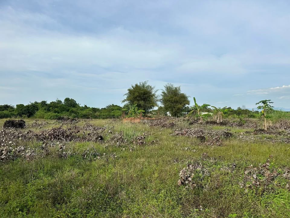 Đất nền 1000m² xã Phú Hòa, Định Quán, Đồng Nai - Sổ hồng chính chủ giá 400 triệu!