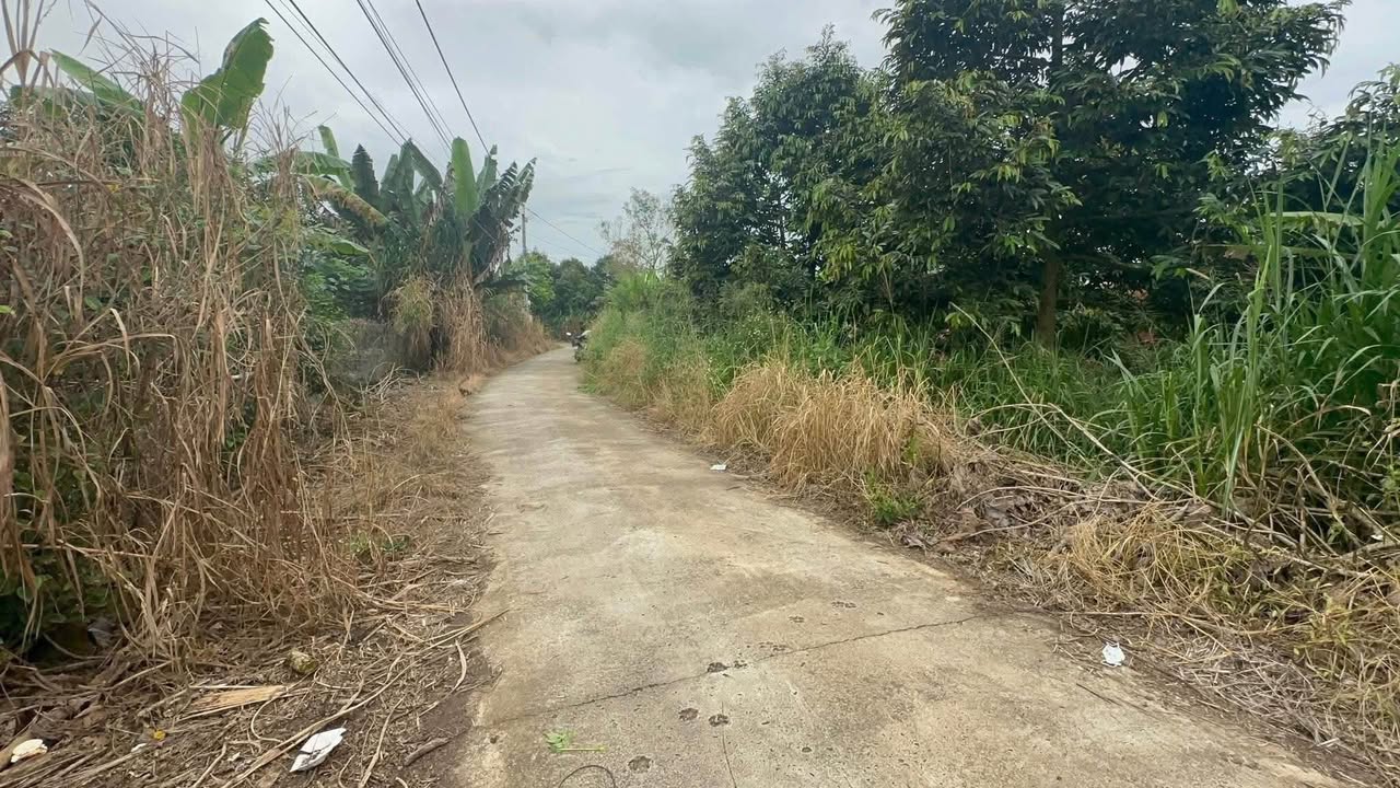 Đất trồng cây lâu năm 1000m² xã Phú Lộc, Tân Phú giá 510 triệu - Pháp lý rõ ràng!