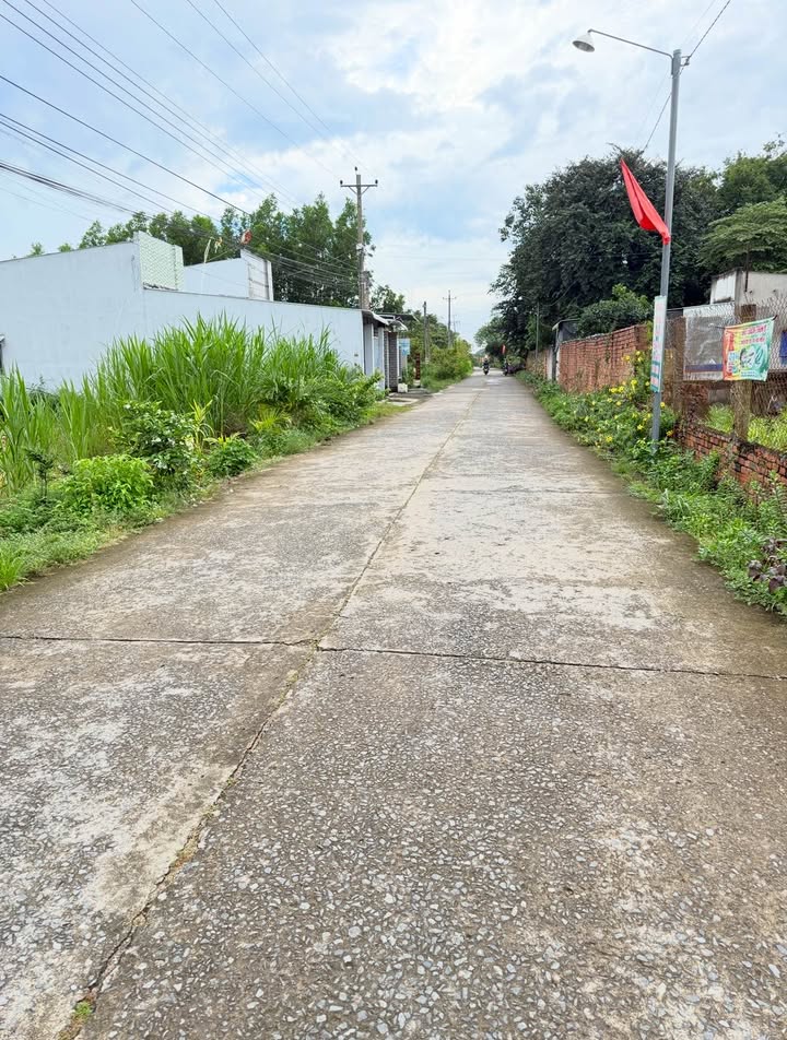 Đất nền chính chủ xã Phú Hòa, Định Quán, Đồng Nai 113m² giá chỉ 445 triệu - Cơ hội đầu tư tuyệt vời!