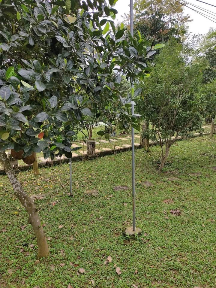 Farm Cẩm Lĩnh, Ba Vì 14.000m² giá 14 tỷ - Tiềm năng du lịch lớn!