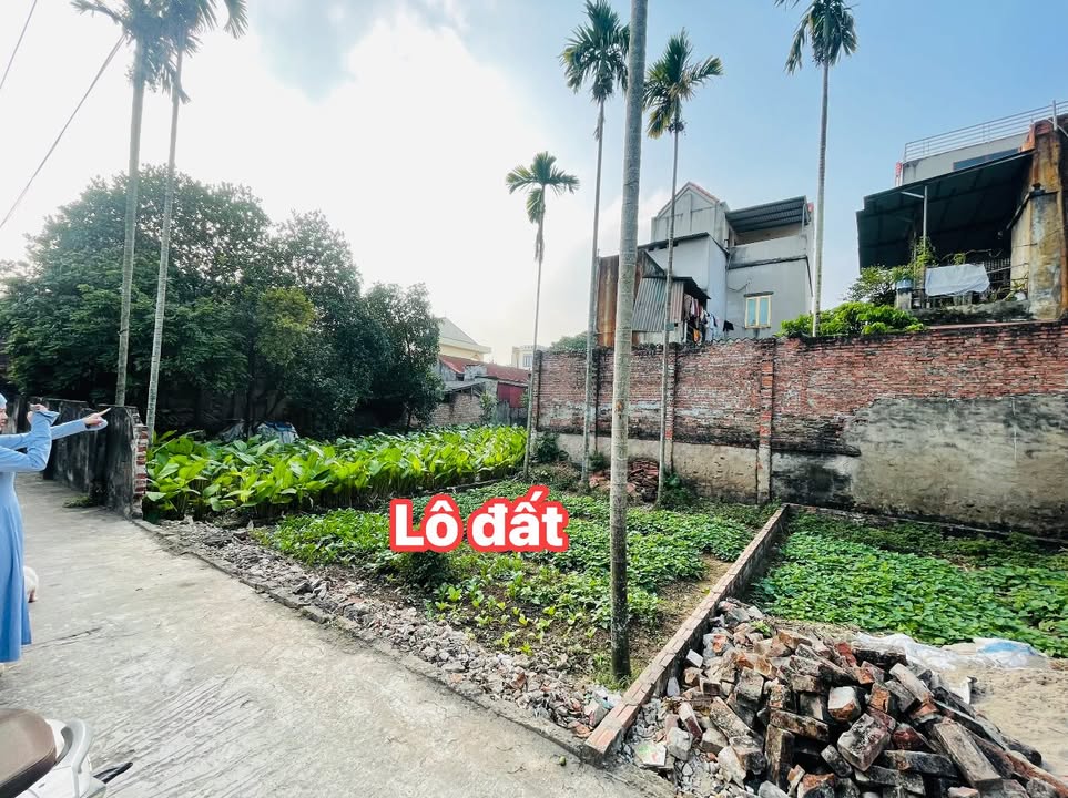 Đất nền Võng Xuyên Phúc Thọ 59m² giá chỉ 3 triệu/m² - Đường ô tô vào tận nơi!