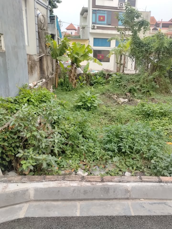 Đất nền Thiên Lộc Đông Anh 47,8m² giá đầu tư - Chính chủ bán gấp!