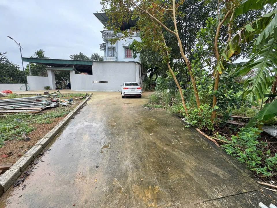 Đất nền chính chủ tại Đồi Sen, Thạch Thất 60m² giá 1.8 tỷ - Cơ hội đầu tư hiếm có!