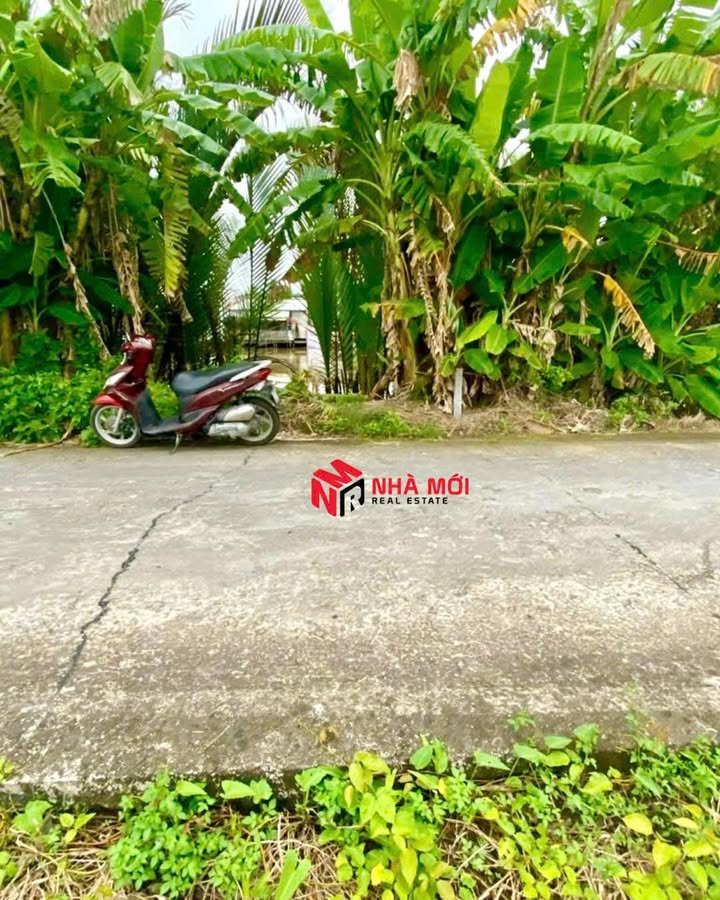 Đất nền mặt tiền kênh Tắc Vân, Cà Mau 480m² giá 960 triệu - Sẵn sàng xây dựng!