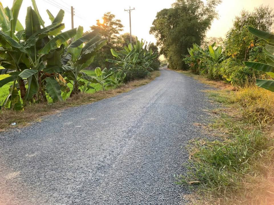 Đất nền và ruộng xã Mỹ Thọ, Cao Lãnh 8642m² giá 2.2 tỷ - Đường nhựa thuận tiện!