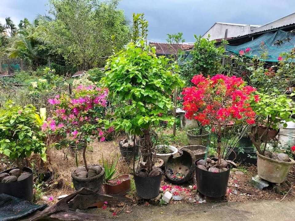 Đất Suối Tân Cam Lâm 220m² giá 1 tỷ - Đất thổ cư đẹp gần chợ