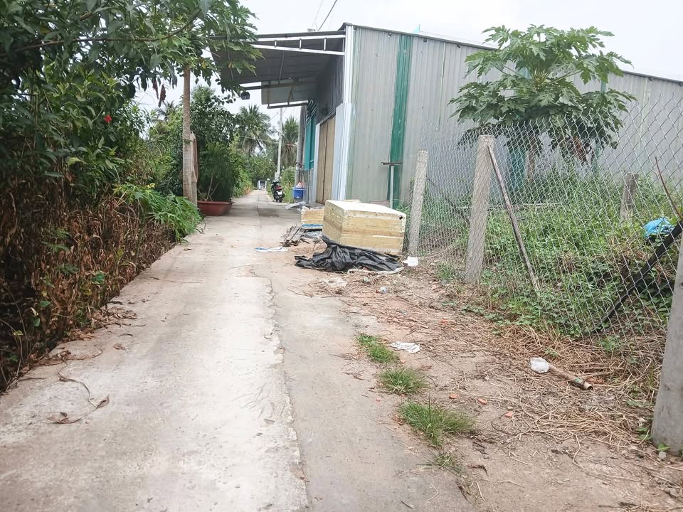 Đất nền Mỹ Lợi, Mỹ Phong 90m² giá 490 triệu - Sổ hồng chính chủ