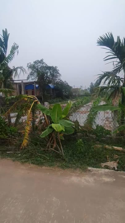 Bán đất 840m² xóm 6 Nam Điền - Đầu tư sinh lời với 2 mặt đường và view sông đẹp!