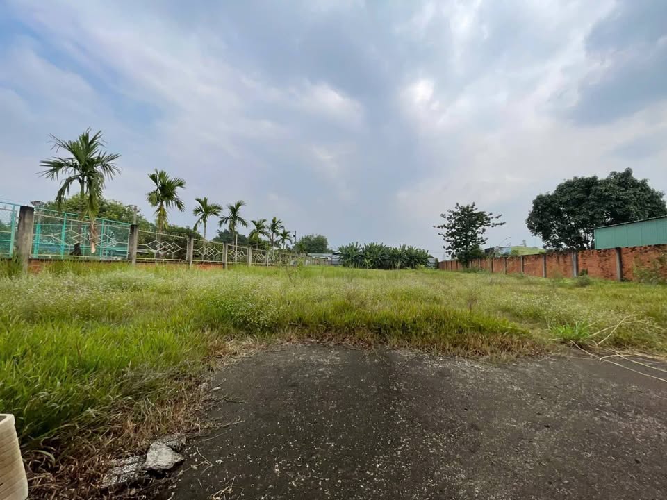 Đất nền Hóc Môn 1000m² giá 18.5 tỷ - Phù hợp làm kho, xưởng, biệt thự