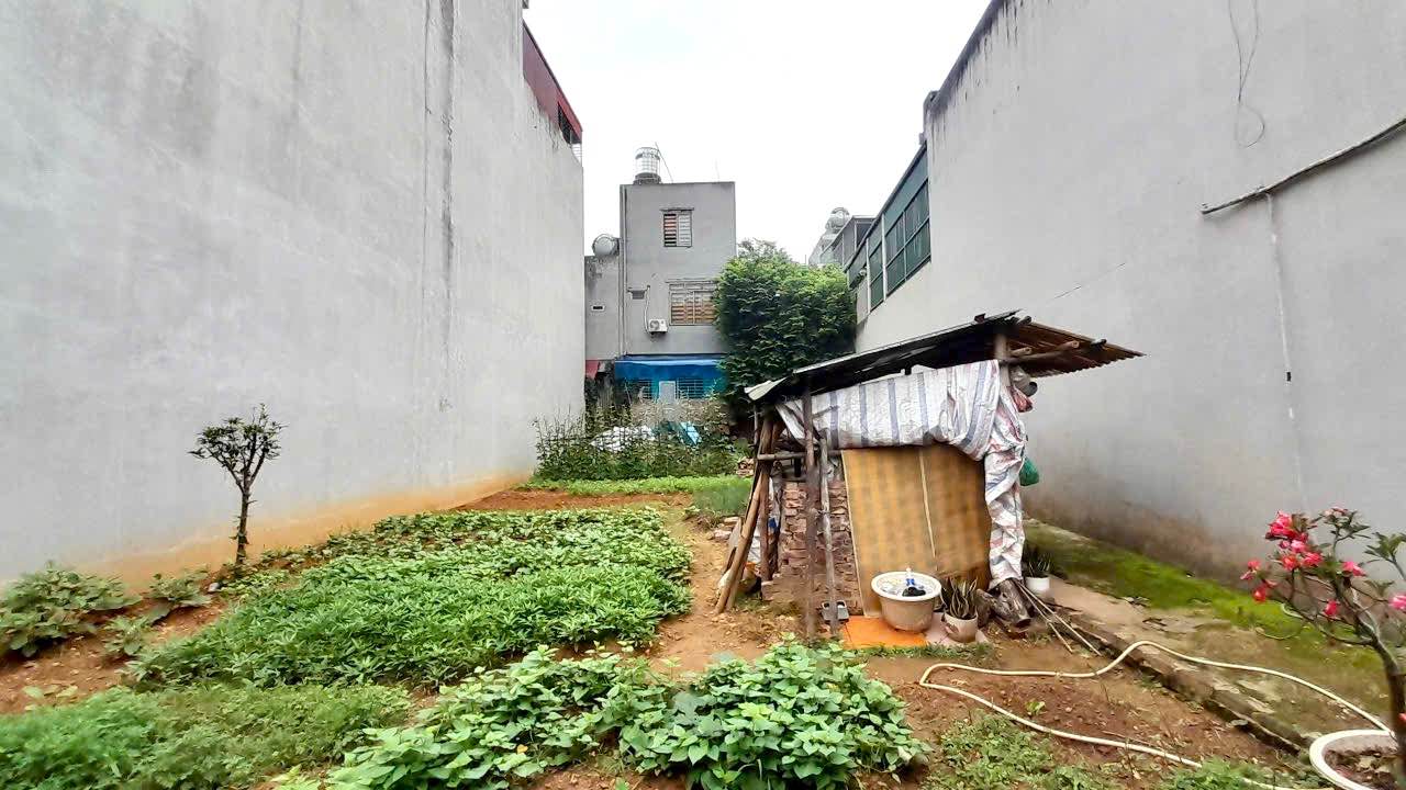 Đất nền 221m² đường Đô Đốc Lộc, Bắc Cường - Sổ đỏ chính chủ, giá chỉ 6 tỷ!