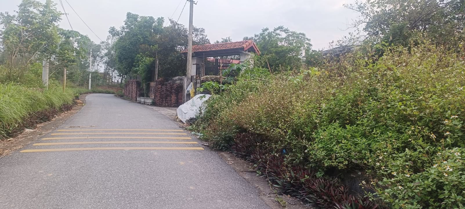 Đất nền Gia Khánh, Bình Xuyên 97m² giá 700 triệu - Cơ hội đầu tư hấp dẫn!