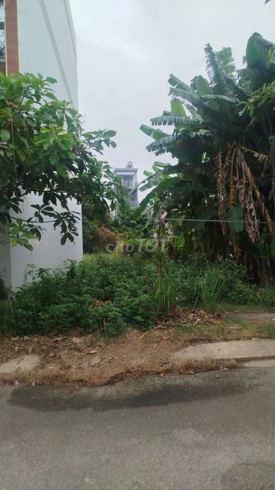 Đất nền Nguyễn Duy Trinh Q9 53m² giá 3 tỷ - Tiềm năng đầu tư vượt trội!