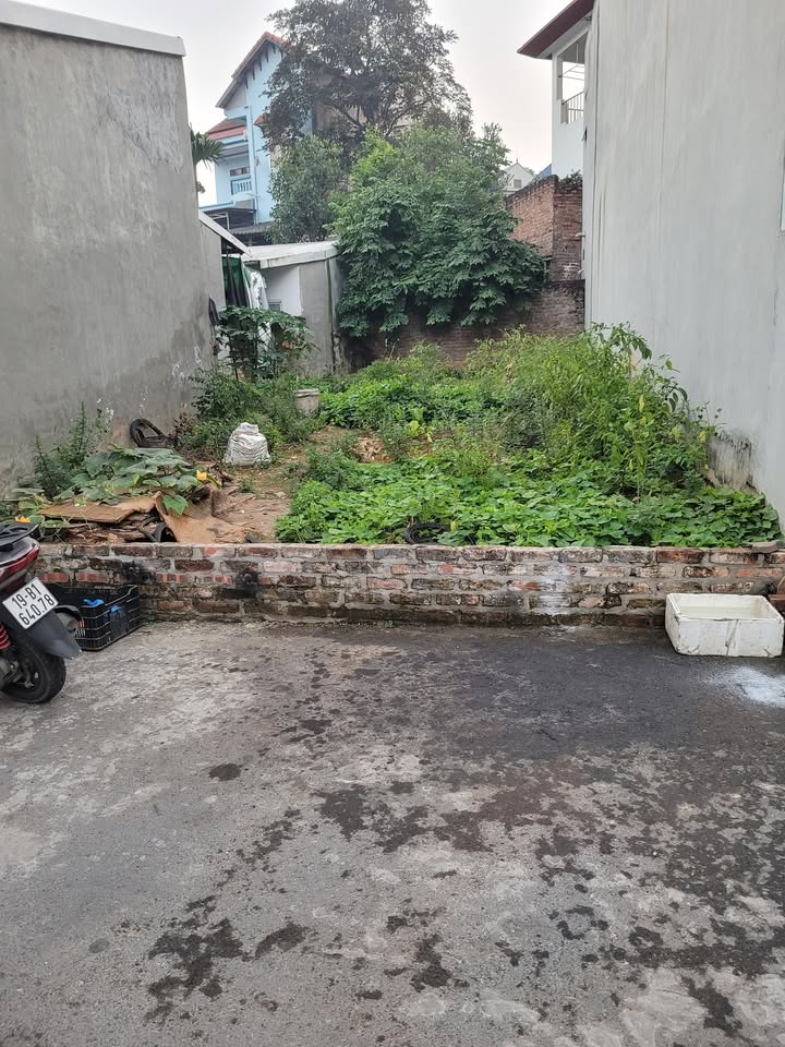 Đất nền Khu 8 Thanh Miếu, Việt Trì 93m² giá 2.9 tỷ - Đầu tư sinh lời nhanh!