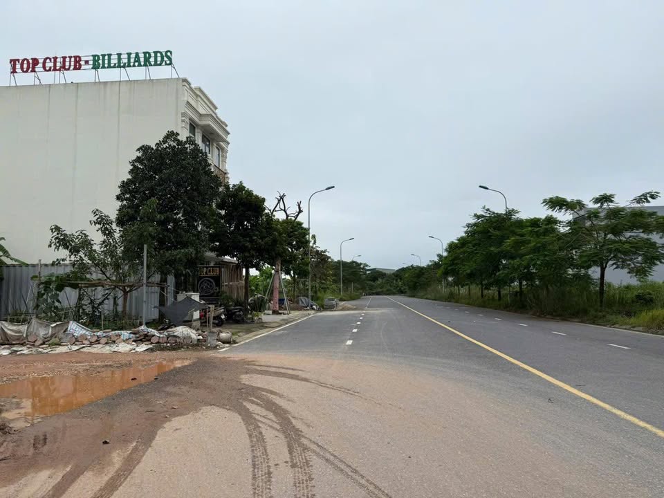 Đất nền liền kề 252m² tại Thanh Miếu, Việt Trì - Giá chỉ từ 50 triệu/m²!